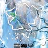 Surf Gang - SGV1