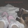 Cozy St. Jean - serenades for the false​-​hearted