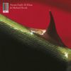 Nusrat Fateh Ali Khan & Michael Brook - Night Song