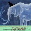 The Elephant