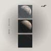 Structures - None of the Above