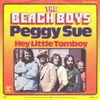 The Beach Boys - Peggy Sue / Hey Little Tomboy