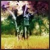 Animal Collective - Man of Oil