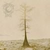 Primeval Well - Primeval Well