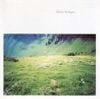 &Eacute;liane Radigue - Geelriandre-Arthesis