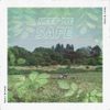 Bears In Trees - Keep Me Safe