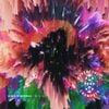 Psychedelic Porn Crumpets - High Visceral (B-Sides)