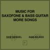 Sam Gendel & Sam Wilkes - Music for Saxofone and Bass Guitar More Songs