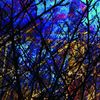 Merzbow - 雀色1