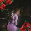 Kasper Lindmark - While You Were Away