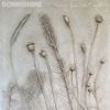Scrimshire - Nothing Feels Like Everything