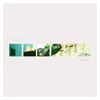 Kilo Kish - Homeschool