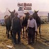 The Ozark Mountain Daredevils - Men From Earth