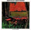 The Neville Brothers - Fiyo on the Bayou