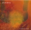 Slowdive - Catch the Breeze / Shine