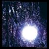 Six Organs of Admittance - Luminous Night