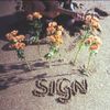 Liana Flores - Sign