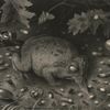 Tusmørke - F&oslash;rt bak lyset