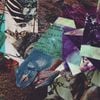 Merzbow - Sugamo Flower