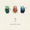 Carsick Cars - 3