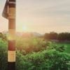 파란노을 [Parannoul] - Into the Endless Night