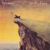 Bird Dog