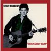 Steve Forbert - Jackrabbit Slim