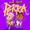 J Balvin & Tokischa - Perra