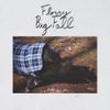 Florry - Big Fall