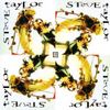 Steve Taylor - Squint