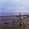 Ailsa Tully - Holy Isle