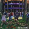 Grateful Dead - Dozin' at the Knick