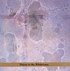 John Zorn - Masada Anniversary Edition Vol. 2: Voices in the Wilderness