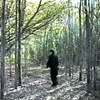 YABUJIN - Lamianaga Files