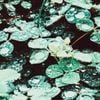 Rain chamber