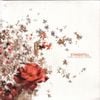 Standstill - The Latest Kiss