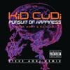 Kid Cudi - Pursuit of Happiness (Extended Steve Aoki Remix)