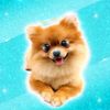 Lucas Cruikshank - Pomeranians