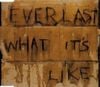 Everlast - What It's Like