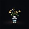 Billy Strings - Renewal