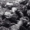Noah Yorke - Trying Too Hard (Lullaby)