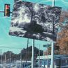 Conductor Williams - Positive Vibes Matter