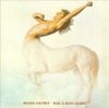 Ride a Rock Horse