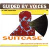 Guided by Voices - Suitcase: Failed Experiments and Trashed Aircraft