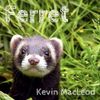 Kevin MacLeod - Ferret