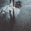 Sadness - april sunset