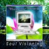 Mindspring Memories - Soul Visioning