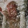 Growing & Mary Lattimore - GAINER