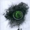 Swallow The Sun - Emerald Forest and the Blackbird