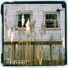 The Cinematic Orchestra - To Build A Home